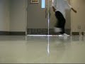 cwalk - [F]low [O]r [D]ie FlowSMOOTH FlowSick 2 way
