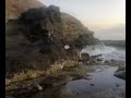 phillip island