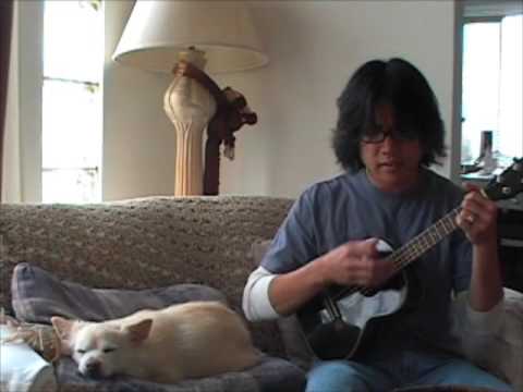 Brooks and Dunn - Neon Moon (Ukulele cover)