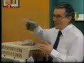 chachacha-ladrones-1.html