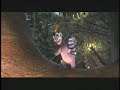 el peje en madagascar