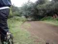 WRC-Rally-Argentina-