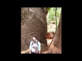 I uploaded a YouTube video -- American Road Trip - Sept 27-Oct 10, 2009 - part 2, Eastward http://bit.ly/1b4ViA
