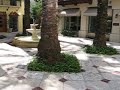 The Via Parigi in Palm Beach Florida