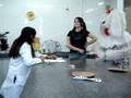 Teatrinho PBL Giardia FMVZ - Unesp - Botucatu