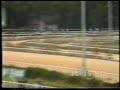 1.600 m. (3.000.000 de pesetas para el ganador)

(1) Sherman 57,5 kg. V. Cañizo
(2) Royal Kris 57,5 kg. B. Gelabert
(3) Robertiya 55,5 kg. C. Asmussen
(4) Bass 57,5 kg. P. García
(5) Lusitana 57 kg. F. González

Tiempo: 1' 42'' 3/5
Distancias: 3 ½ c., cuello, corta cabeza, 2 c.

SHERMAN, C. c., 1987 por Recitation (USA) y Pomerelle (FR)

Propietario: Yeguada Cortiñal
Preparador: J. J. Ceca
Criador: Yeguada Cortiñal