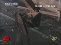 Training Concerns Following Subway Collapse Training Concerns Following Subway Collapse