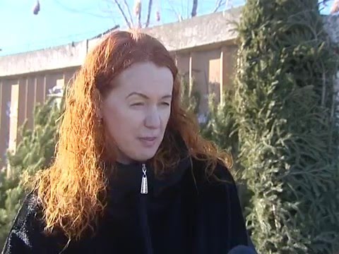 Просмотр видео