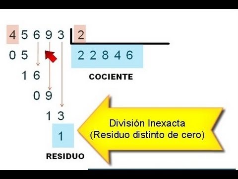 how to learn division