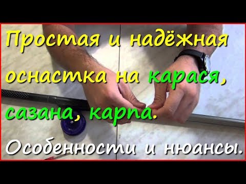 поплавочная снасть на карася и карпа поплавочная снасть на карася и карпа