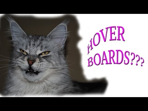 HUVr Board? HOLY CATS IT'S REAL!!!