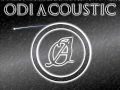 Odi Acoustic - Feeling This (Blink 182 Cover)