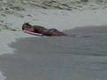 Saint Martin Part 1 Saint Martin Part 1
