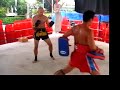 Thai box training in Ko Phangnan Thai box training in Ko Phangnan