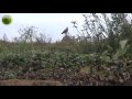 Relevamiento de Pesca de Dorados en La Paz con Víctor Flores #3 - Zona Safari TV