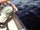 Small Mouth bass - canada