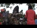 Mubula celebrates Mubula celebrates
