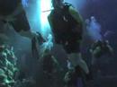 My DiveQuest Adventure My DiveQuest Adventure