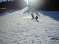Sit Ski 2