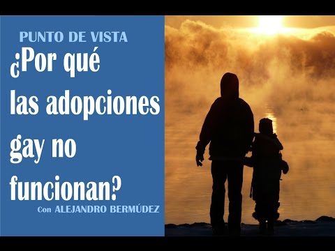 ¿Por qué las adopciones gay no funcionan?