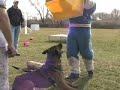 Police K9 Seminar with Jason Farrish