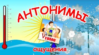 АНТОНИМЫ. Ощущения