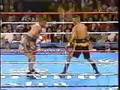 Hopkins vs. Lipsey KO