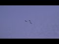 FREE stock video beach - stock footage - sunrise stock footage - ocean stockfootage FREE