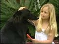 VT matr�culas S�o Jos�