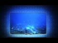 Philips VNR Ambilight 