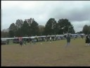 Waxhaw Games - Better Quality Waxhaw Games - Better Quality