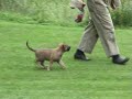 Fun 6 weeks first training