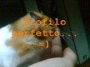 Cal ti voglio bene...:\