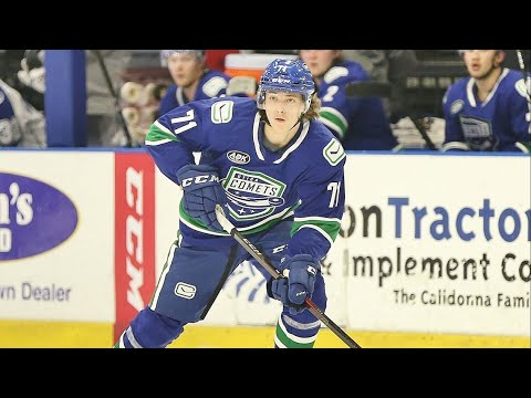 Perrysburg native Tanner Dickinson getting taste of pro hockey with St. Louis Blues organization