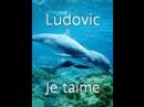 les z\