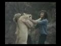 Christian the Lion
