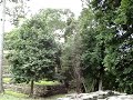 Viaje a Chiapas I