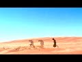 Los Natas - El cono del Encono