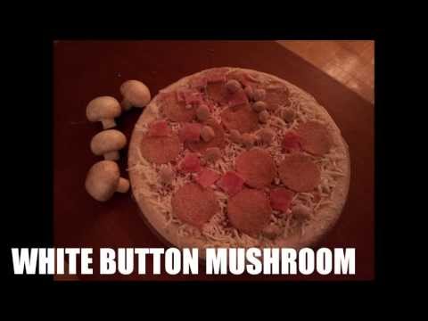 how to grow agaricus bisporus