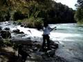 videos de FISHING RIO AZUL- BOLSON