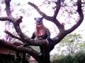 videos de joda y mas joda