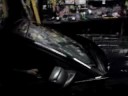 Ford Mustang GT \ Ford Mustang GT \