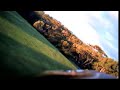 Onboard video rc plane + Bird attack Onboard video rc plane + Bird attack