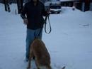 Marquette County Humane Society-Bounty