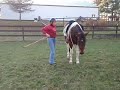 Level 2 Freestyle