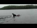 Alaska Extreme Swimming