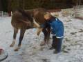 Horse tricks with Piruett and Monica