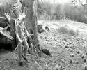 music video for no-man's 