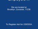 Express Emergency Domestic Help Agency