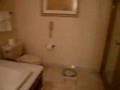 Bellagio Suite View Video
